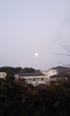 はて1.jpg