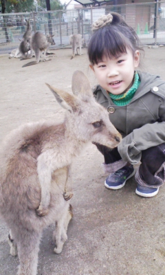 カンガルー2.jpg