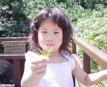 嬉野11.jpg
