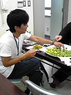 梅ジュース1.jpg