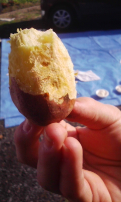 焼き芋1.jpg