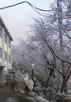 雪景色2.jpg