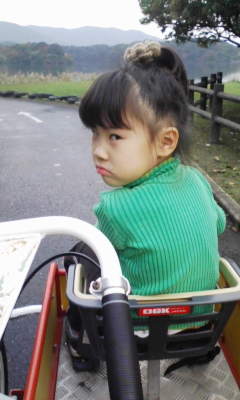 面白自転車.jpg