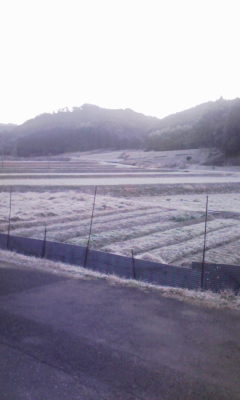 餅1.jpg