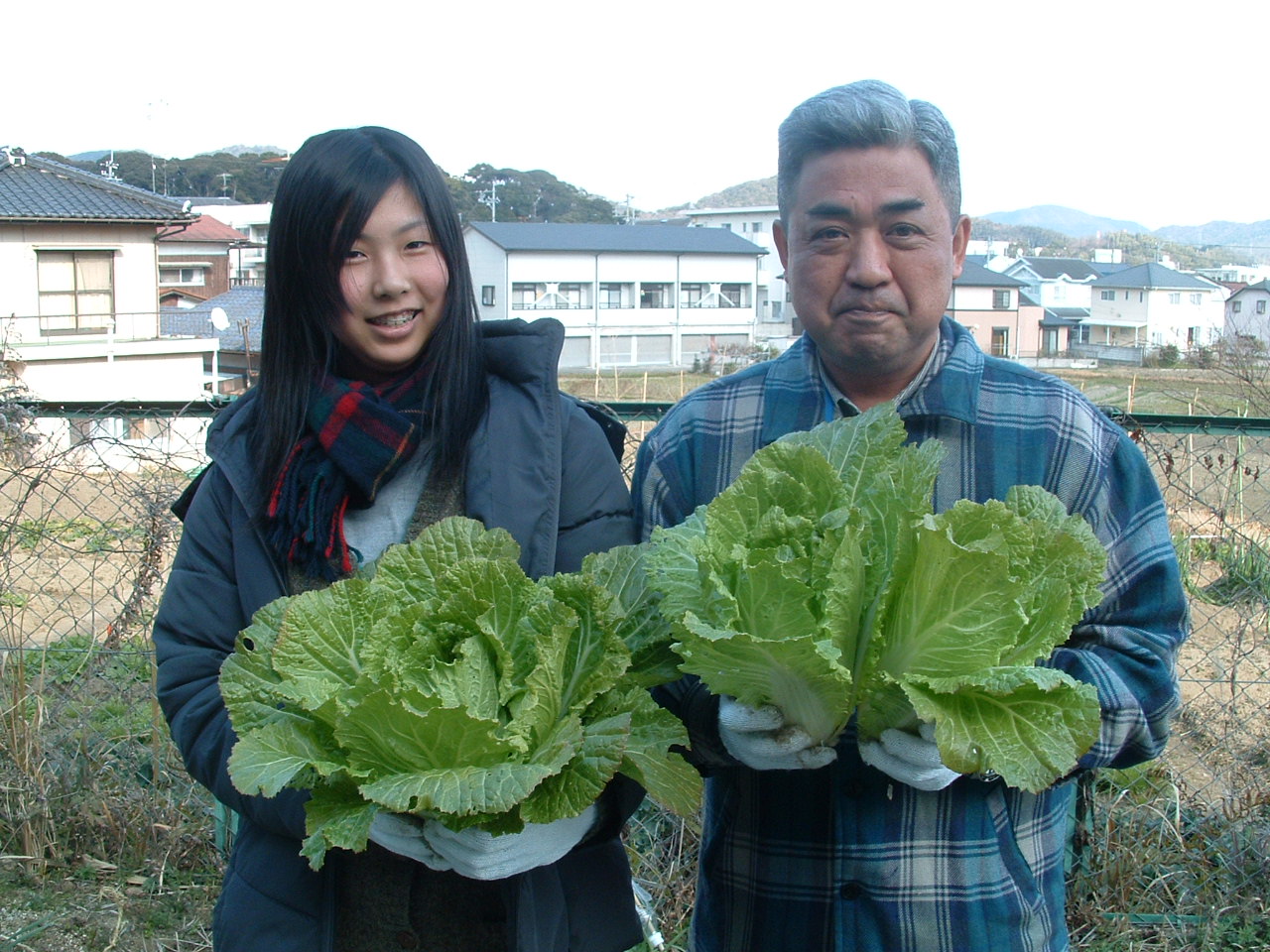 ２０．２．１９ブログ用白菜収穫 002.jpg