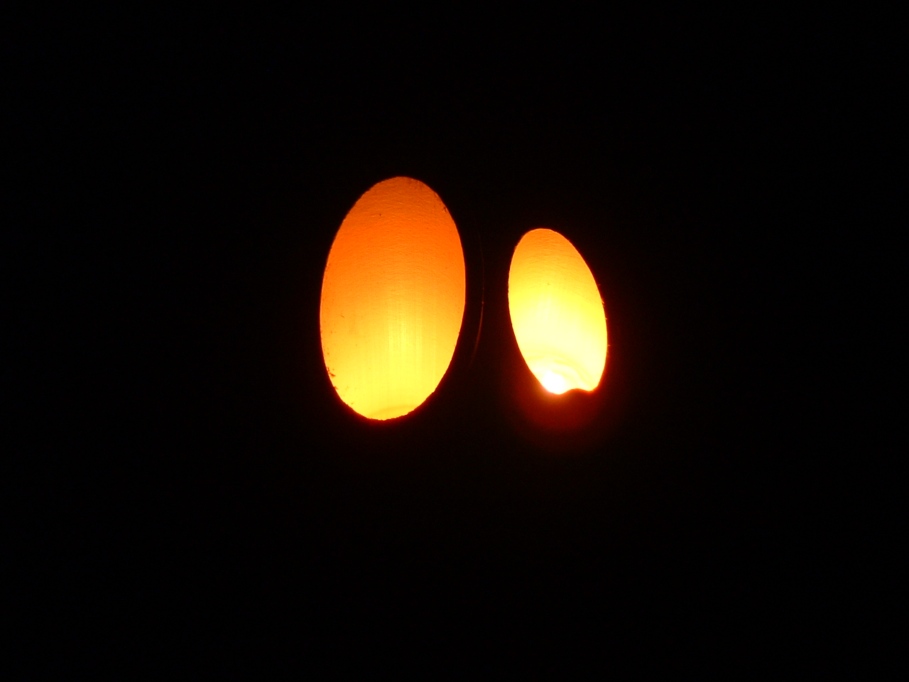 ２００７、１２／２２と２００８，１／１ 003.jpg