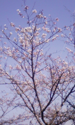 080403_145604.jpg