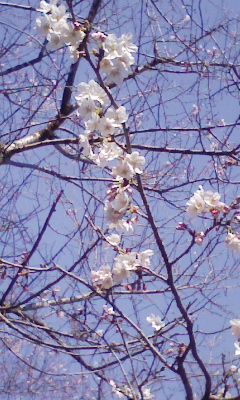 080403_145630.jpg