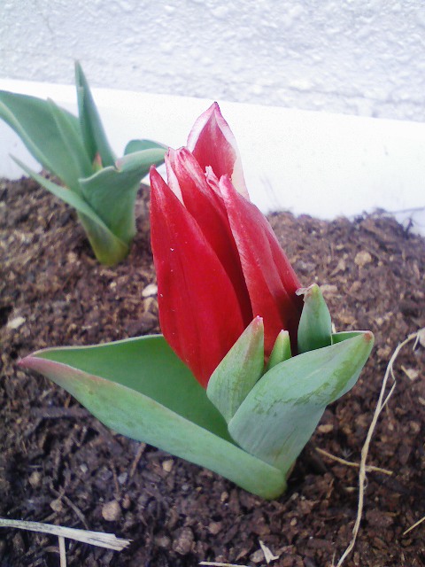 090304_131322.jpg
