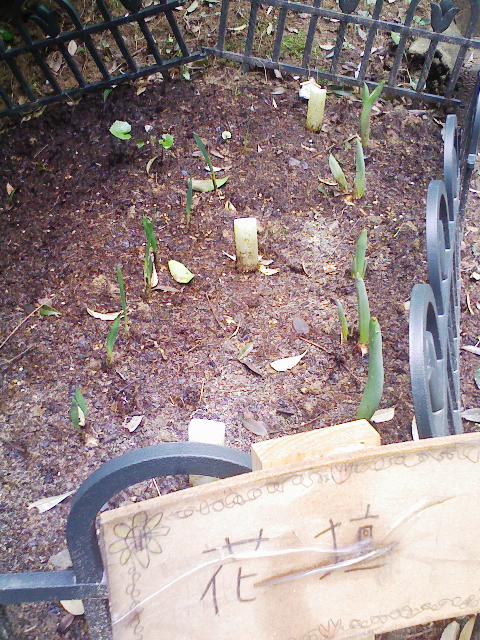 090304_131421.jpg