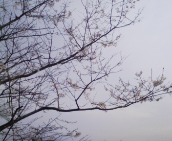 090318_104515.jpg
