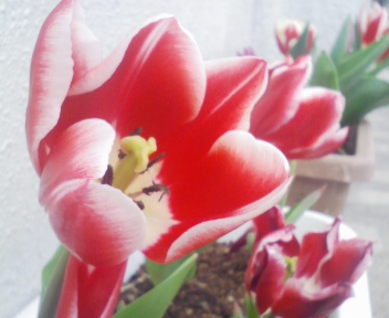090323_131343.jpg