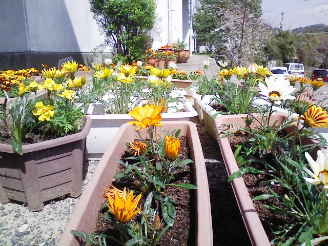 090324_111406.jpg