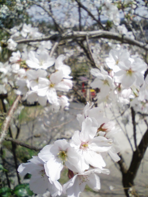 090324_111502.jpg