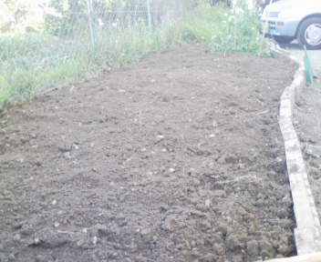 090417_163504.jpg