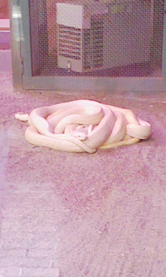 090505_115835.jpg