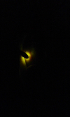 090530_200047.jpg