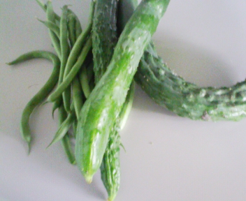090626_072230.jpg