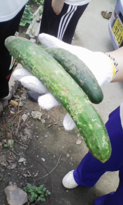 090703_151821.jpg