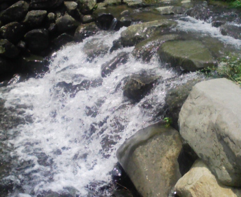 090704_115443.jpg