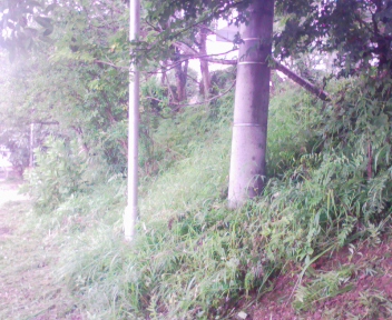 090724_091349.jpg