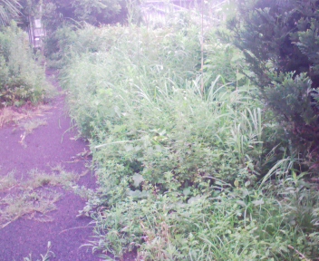 090724_091435.jpg
