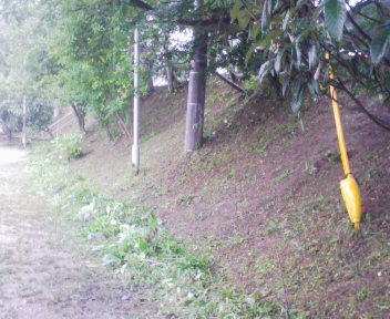 090724_124649.jpg