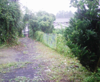 090724_124715.jpg