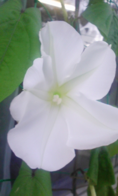 090804_170442.jpg