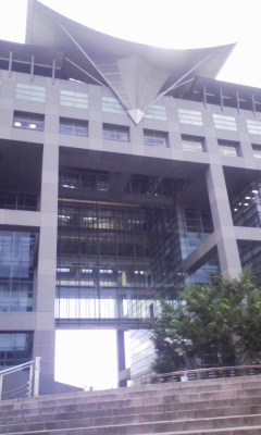 090807_113825.jpg
