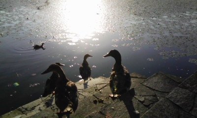 090807_180607.jpg