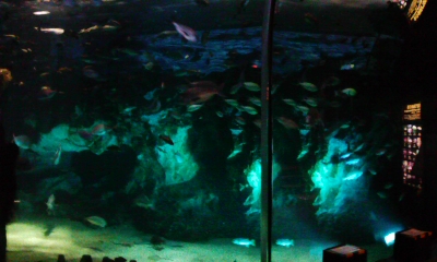 090820_185631.jpg