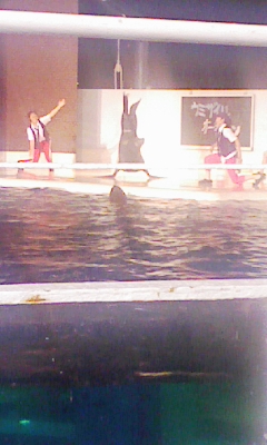 090820_194116.jpg