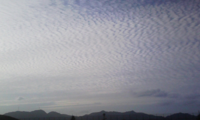 091003_164528.jpg