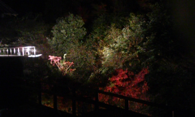 091128_191356.jpg