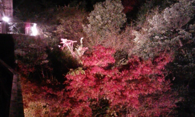 091128_200714.jpg