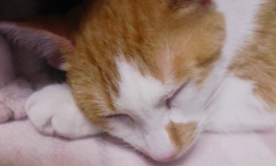 091128_211141.jpg