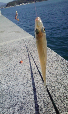 100104_124024.jpg
