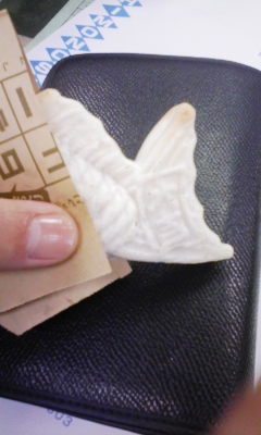100113_151015.jpg
