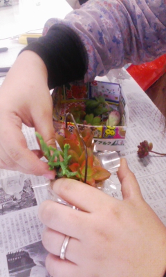 100121_135137.jpg