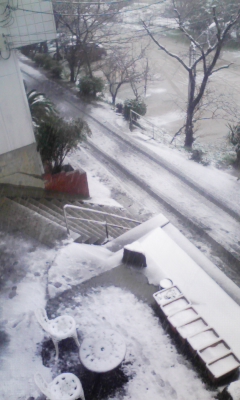 100310_130407.jpg