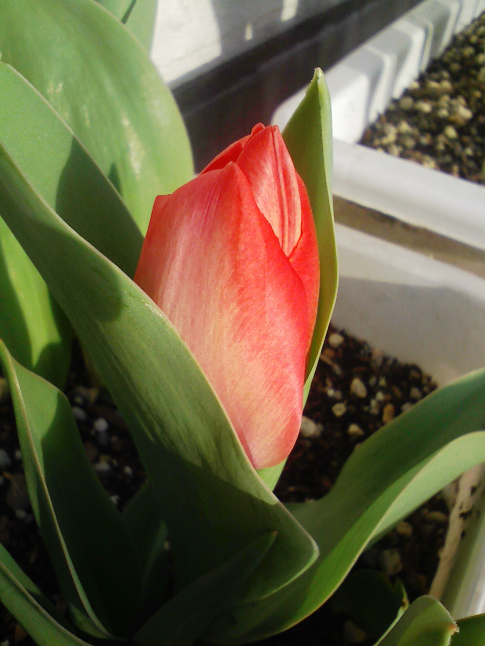 100317_072002.jpg