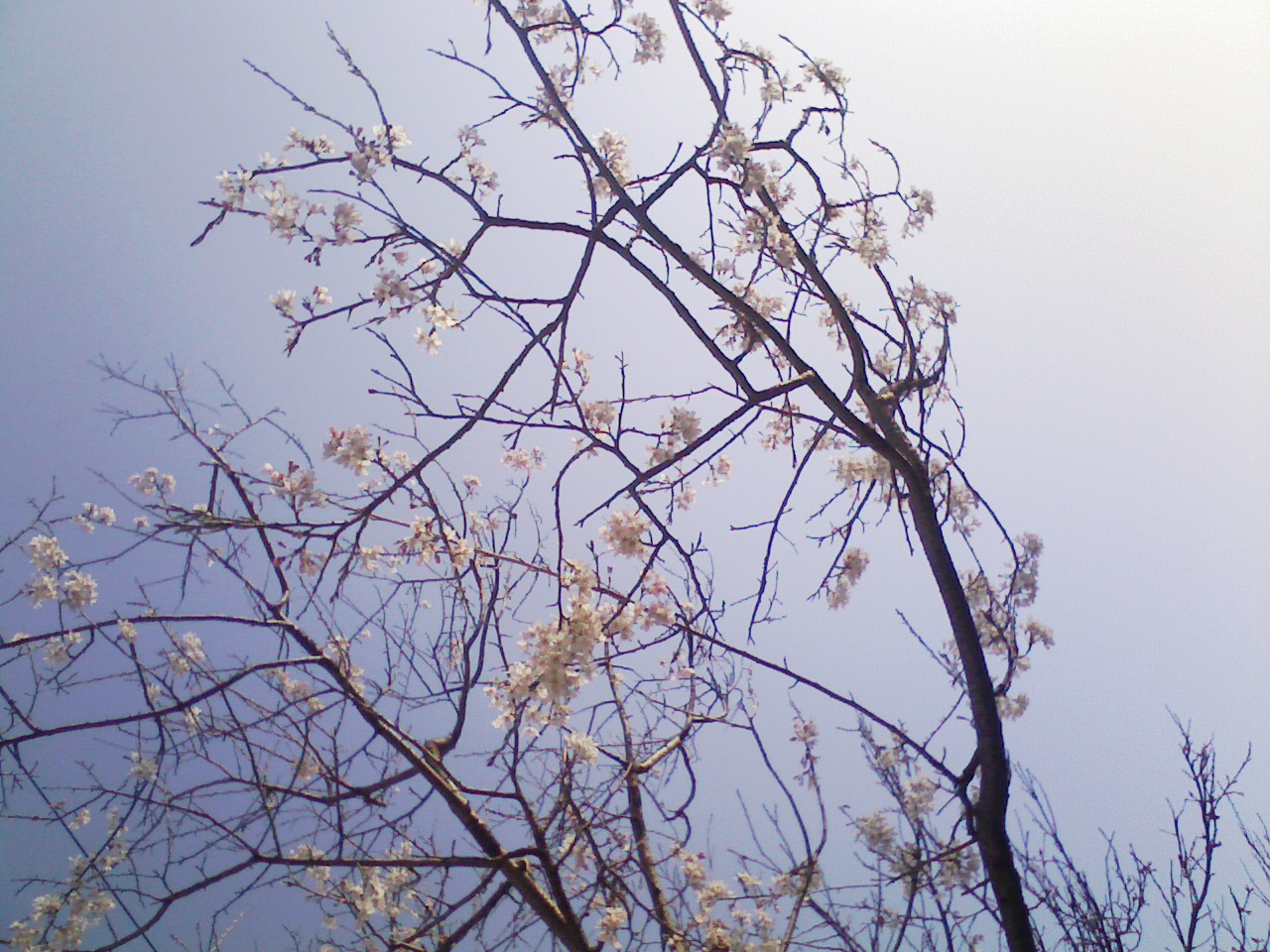 100317_072117.jpg