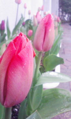 100325_075112.jpg