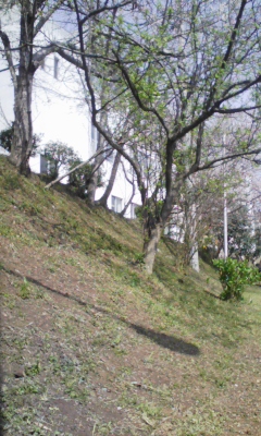100331_102935.jpg