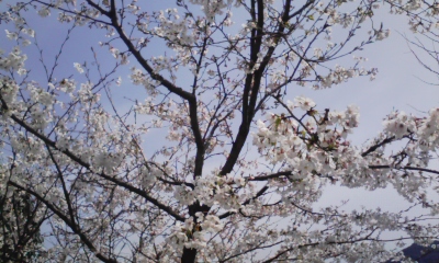 100331_103212.jpg