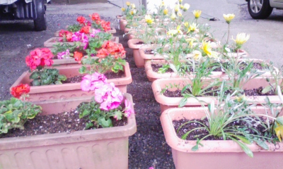 100401_152028.jpg