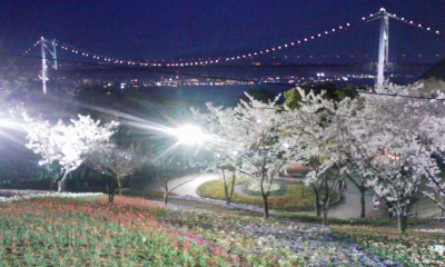 100404_190803.jpg