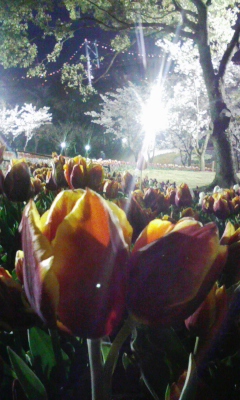 100404_191006.jpg