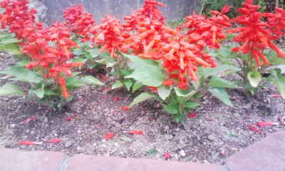 100526_160911.jpg